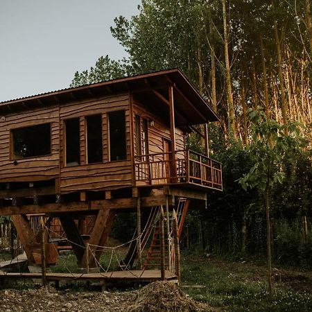 Bonita Cabana De Los Arboles En La Rioja , Durmiendo Entre Arboles Anguciana Exteriör bild