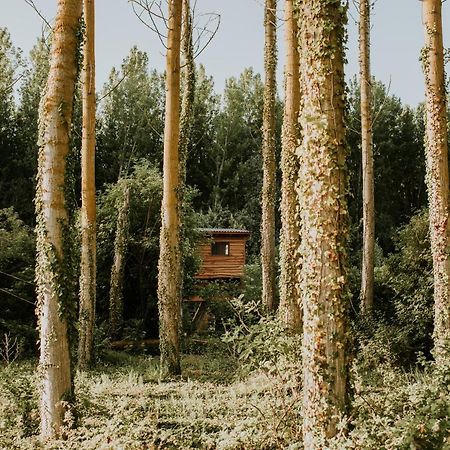 Bonita Cabana De Los Arboles En La Rioja , Durmiendo Entre Arboles Anguciana Exteriör bild