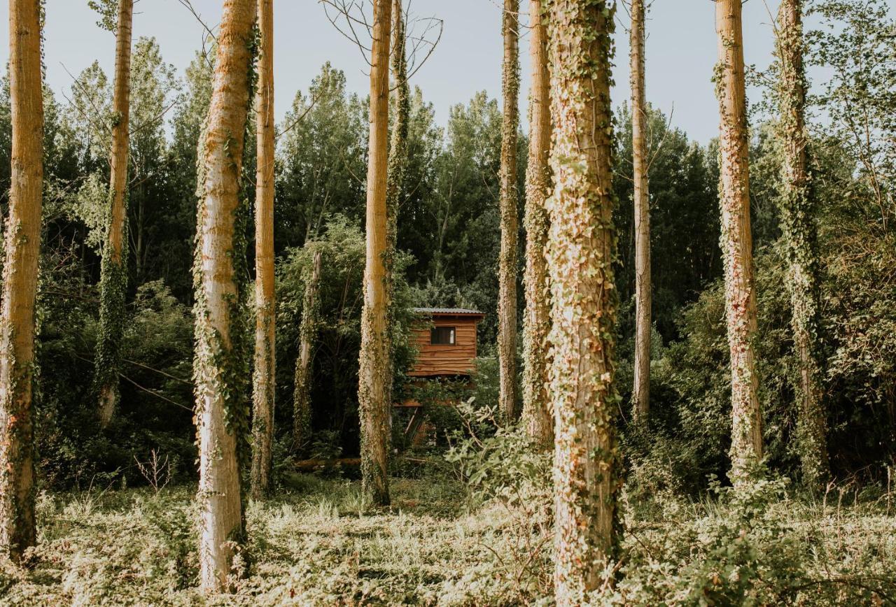 Bonita Cabana De Los Arboles En La Rioja , Durmiendo Entre Arboles Anguciana Exteriör bild