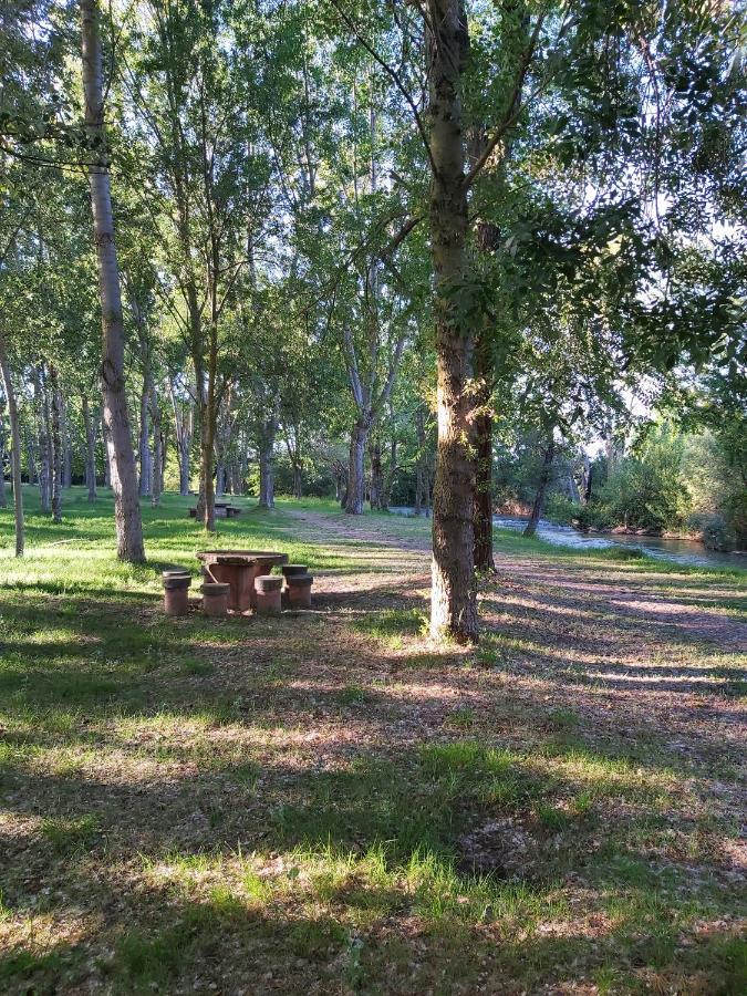Bonita Cabana De Los Arboles En La Rioja , Durmiendo Entre Arboles Anguciana Exteriör bild