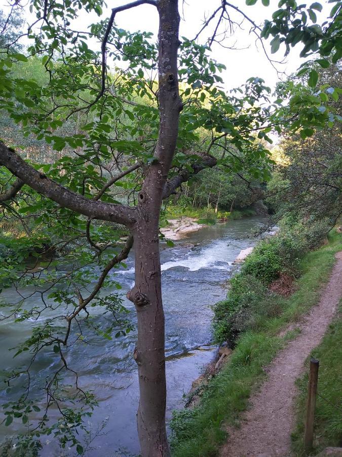 Bonita Cabana De Los Arboles En La Rioja , Durmiendo Entre Arboles Anguciana Exteriör bild