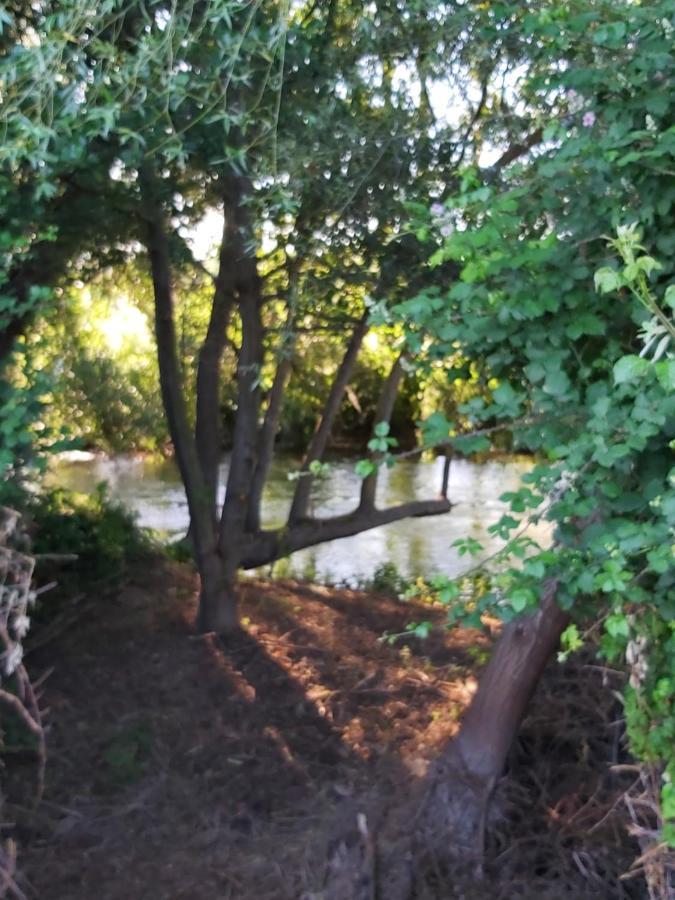 Bonita Cabana De Los Arboles En La Rioja , Durmiendo Entre Arboles Anguciana Exteriör bild